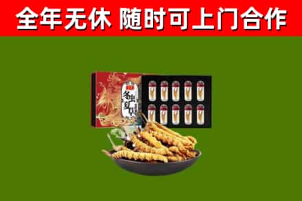 阳信烟酒回收冬虫夏草礼盒.jpg